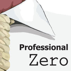 Book Title: Professional Zero